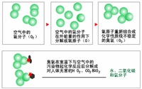 臭氧消毒器的結(jié)構(gòu)是怎樣的？